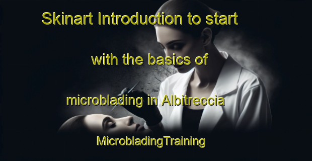 Skinart Introduction to start with the basics of microblading in Albitreccia | MicrobladingTraining | MicrobladingClasses | SkinartTraining-France