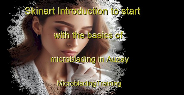 Skinart Introduction to start with the basics of microblading in Auzay | MicrobladingTraining | MicrobladingClasses | SkinartTraining-France