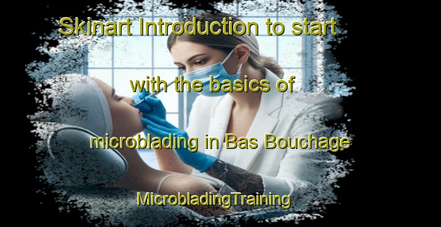 Skinart Introduction to start with the basics of microblading in Bas Bouchage | MicrobladingTraining | MicrobladingClasses | SkinartTraining-France