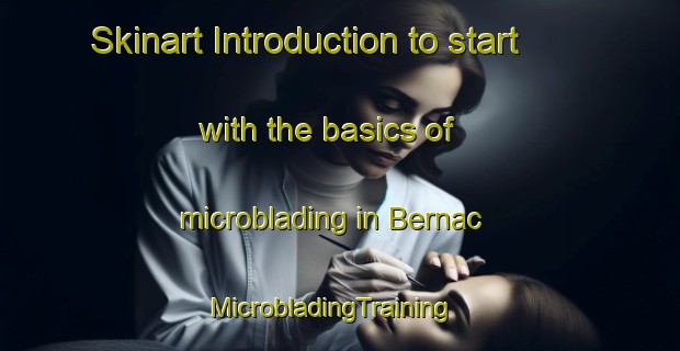 Skinart Introduction to start with the basics of microblading in Bernac | MicrobladingTraining | MicrobladingClasses | SkinartTraining-France