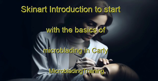 Skinart Introduction to start with the basics of microblading in Carly | MicrobladingTraining | MicrobladingClasses | SkinartTraining-France