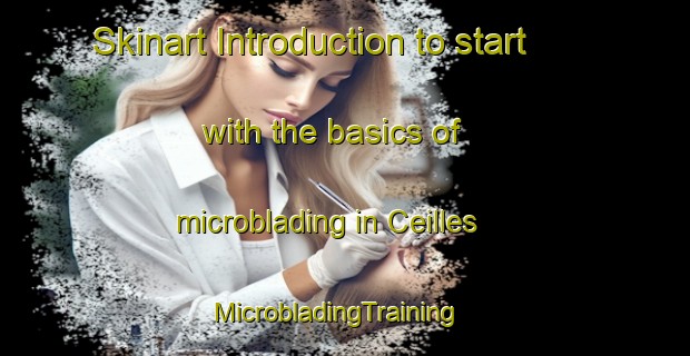 Skinart Introduction to start with the basics of microblading in Ceilles | MicrobladingTraining | MicrobladingClasses | SkinartTraining-France
