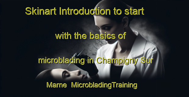 Skinart Introduction to start with the basics of microblading in Champigny Sur Marne | MicrobladingTraining | MicrobladingClasses | SkinartTraining-France