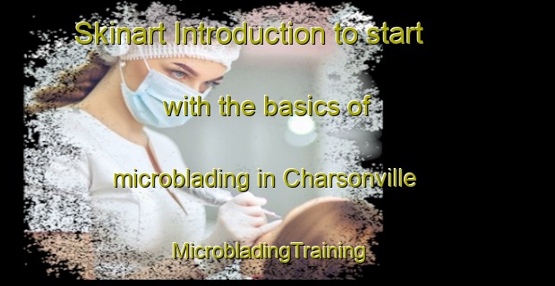 Skinart Introduction to start with the basics of microblading in Charsonville | MicrobladingTraining | MicrobladingClasses | SkinartTraining-France