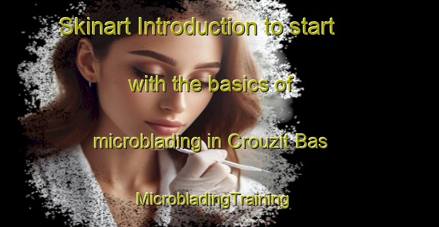 Skinart Introduction to start with the basics of microblading in Crouzit Bas | MicrobladingTraining | MicrobladingClasses | SkinartTraining-France