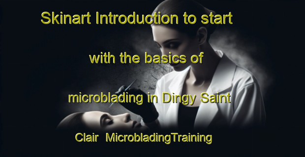 Skinart Introduction to start with the basics of microblading in Dingy Saint Clair | MicrobladingTraining | MicrobladingClasses | SkinartTraining-France