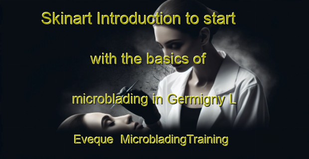 Skinart Introduction to start with the basics of microblading in Germigny L Eveque | MicrobladingTraining | MicrobladingClasses | SkinartTraining-France