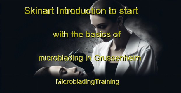 Skinart Introduction to start with the basics of microblading in Grussenheim | MicrobladingTraining | MicrobladingClasses | SkinartTraining-France