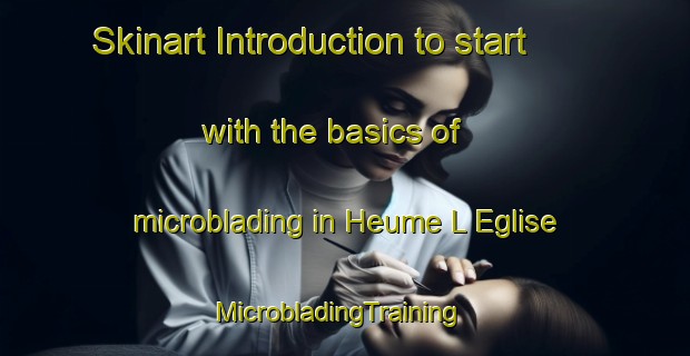 Skinart Introduction to start with the basics of microblading in Heume L Eglise | MicrobladingTraining | MicrobladingClasses | SkinartTraining-France