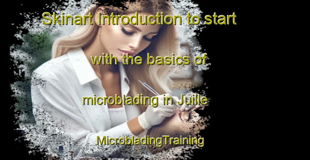 Skinart Introduction to start with the basics of microblading in Juille | MicrobladingTraining | MicrobladingClasses | SkinartTraining-France
