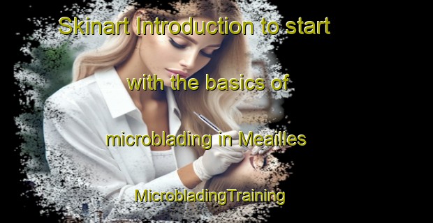 Skinart Introduction to start with the basics of microblading in Meailles | MicrobladingTraining | MicrobladingClasses | SkinartTraining-France