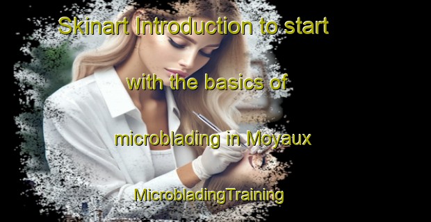 Skinart Introduction to start with the basics of microblading in Moyaux | MicrobladingTraining | MicrobladingClasses | SkinartTraining-France