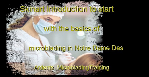 Skinart Introduction to start with the basics of microblading in Notre Dame Des Ardents | MicrobladingTraining | MicrobladingClasses | SkinartTraining-France