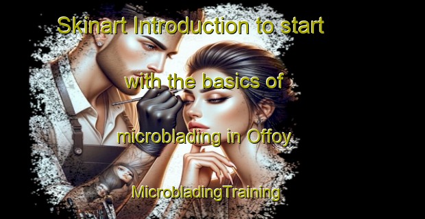 Skinart Introduction to start with the basics of microblading in Offoy | MicrobladingTraining | MicrobladingClasses | SkinartTraining-France
