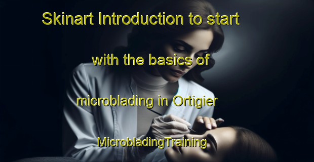 Skinart Introduction to start with the basics of microblading in Ortigier | MicrobladingTraining | MicrobladingClasses | SkinartTraining-France