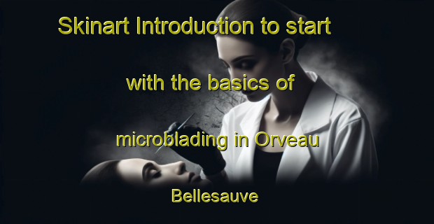 Skinart Introduction to start with the basics of microblading in Orveau Bellesauve | MicrobladingTraining | MicrobladingClasses | SkinartTraining-France
