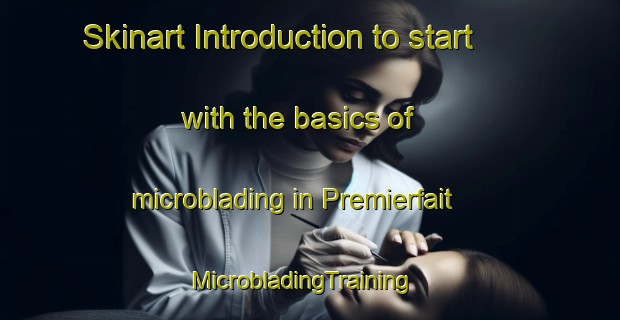 Skinart Introduction to start with the basics of microblading in Premierfait | MicrobladingTraining | MicrobladingClasses | SkinartTraining-France