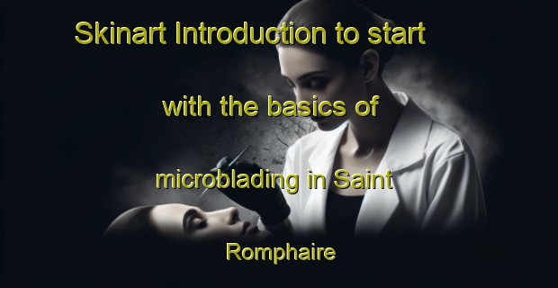 Skinart Introduction to start with the basics of microblading in Saint Romphaire | MicrobladingTraining | MicrobladingClasses | SkinartTraining-France