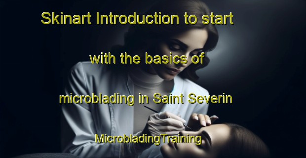 Skinart Introduction to start with the basics of microblading in Saint Severin | MicrobladingTraining | MicrobladingClasses | SkinartTraining-France