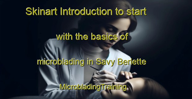 Skinart Introduction to start with the basics of microblading in Savy Berlette | MicrobladingTraining | MicrobladingClasses | SkinartTraining-France