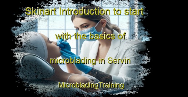Skinart Introduction to start with the basics of microblading in Servin | MicrobladingTraining | MicrobladingClasses | SkinartTraining-France