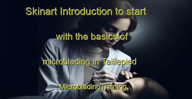 Skinart Introduction to start with the basics of microblading in Taillepied | MicrobladingTraining | MicrobladingClasses | SkinartTraining-France