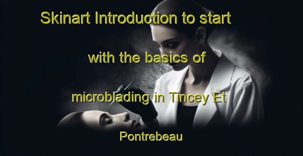 Skinart Introduction to start with the basics of microblading in Tincey Et Pontrebeau | MicrobladingTraining | MicrobladingClasses | SkinartTraining-France