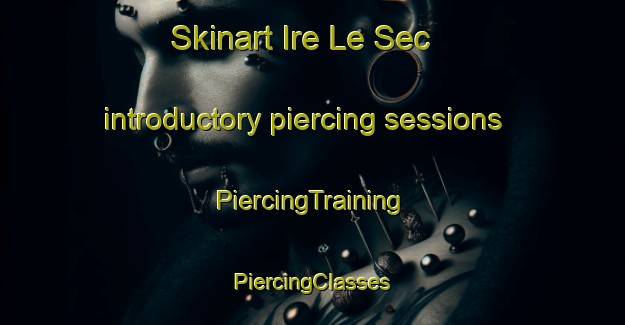 Skinart Ire Le Sec introductory piercing sessions | #PiercingTraining #PiercingClasses #SkinartTraining-France