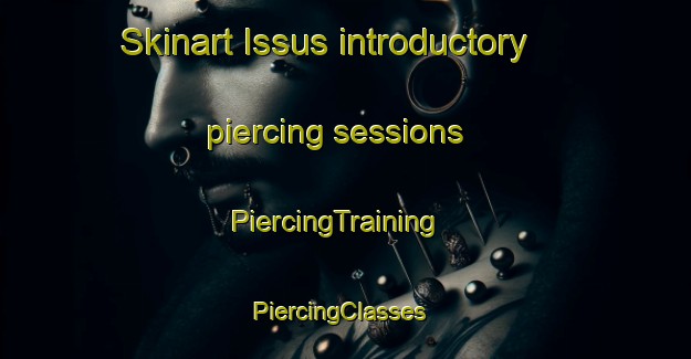 Skinart Issus introductory piercing sessions | PiercingTraining | PiercingClasses | SkinartTraining-France