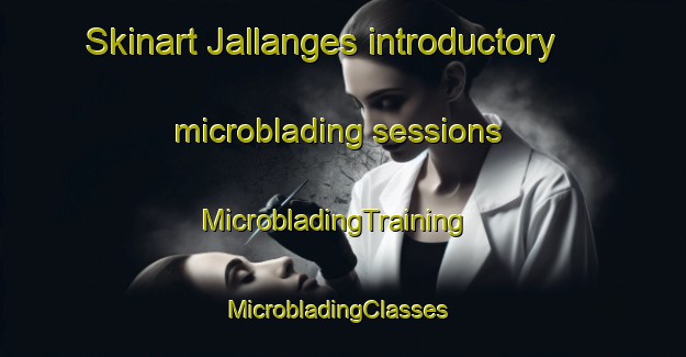 Skinart Jallanges introductory microblading sessions | MicrobladingTraining | MicrobladingClasses | SkinartTraining-France