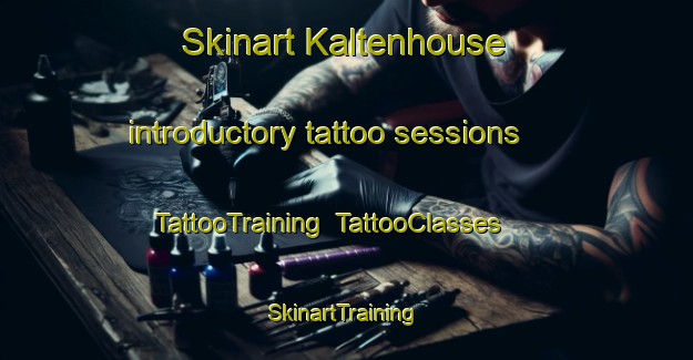 Skinart Kaltenhouse introductory tattoo sessions | TattooTraining | TattooClasses | SkinartTraining-France