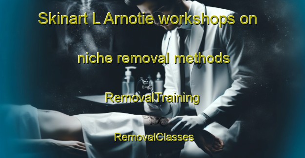 Skinart L Arnotie workshops on niche removal methods | RemovalTraining | RemovalClasses | SkinartTraining-France