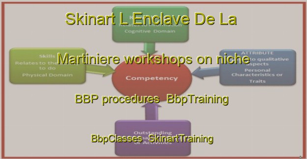 Skinart L Enclave De La Martiniere workshops on niche BBP procedures | BbpTraining | BbpClasses | SkinartTraining-France