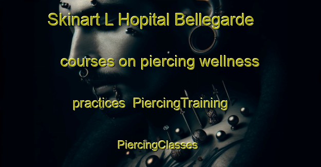 Skinart L Hopital Bellegarde courses on piercing wellness practices | PiercingTraining | PiercingClasses | SkinartTraining-France