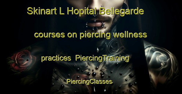 Skinart L Hopital Bellegarde courses on piercing wellness practices | PiercingTraining | PiercingClasses | SkinartTraining-France