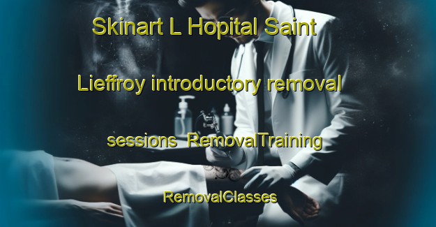 Skinart L Hopital Saint Lieffroy introductory removal sessions | RemovalTraining | RemovalClasses | SkinartTraining-France
