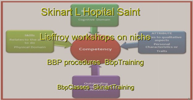 Skinart L Hopital Saint Lieffroy workshops on niche BBP procedures | BbpTraining | BbpClasses | SkinartTraining-France