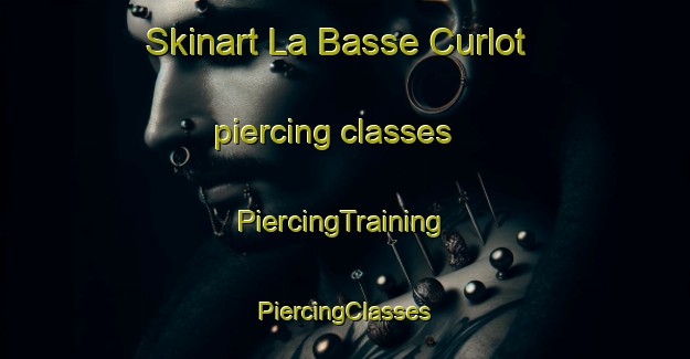 Skinart La Basse Curlot piercing classes | #PiercingTraining #PiercingClasses #SkinartTraining-France