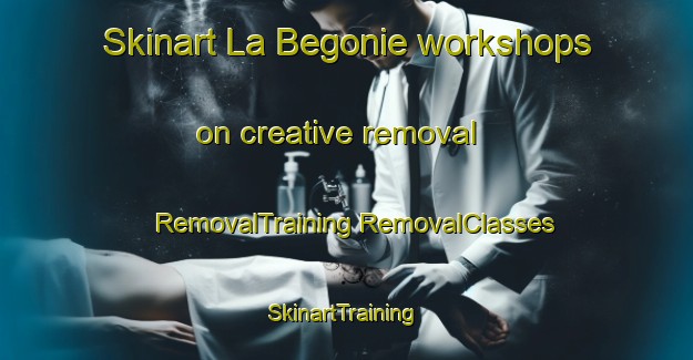 Skinart La Begonie workshops on creative removal | #RemovalTraining #RemovalClasses #SkinartTraining-France