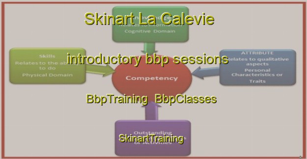 Skinart La Calevie introductory bbp sessions | BbpTraining | BbpClasses | SkinartTraining-France