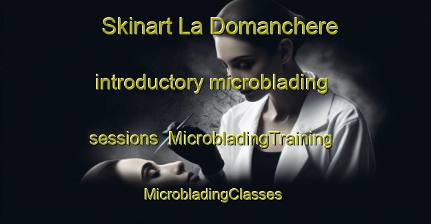 Skinart La Domanchere introductory microblading sessions | MicrobladingTraining | MicrobladingClasses | SkinartTraining-France