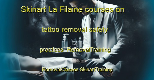 Skinart La Filaine courses on tattoo removal safety practices | #RemovalTraining #RemovalClasses #SkinartTraining-France