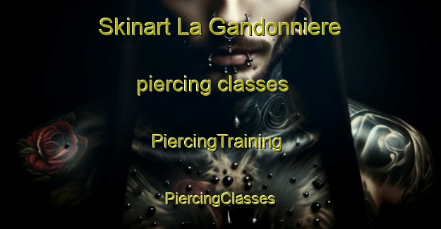 Skinart La Gandonniere piercing classes | #PiercingTraining #PiercingClasses #SkinartTraining-France