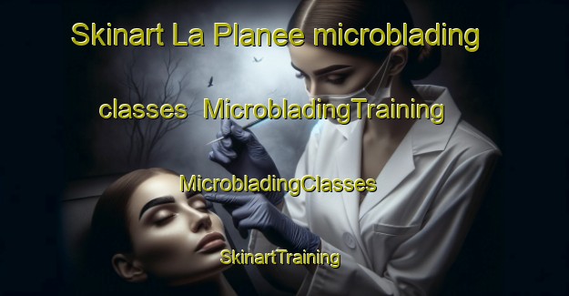 Skinart La Planee microblading classes | MicrobladingTraining | MicrobladingClasses | SkinartTraining-France