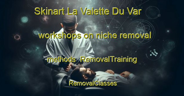 Skinart La Valette Du Var workshops on niche removal methods | RemovalTraining | RemovalClasses | SkinartTraining-France