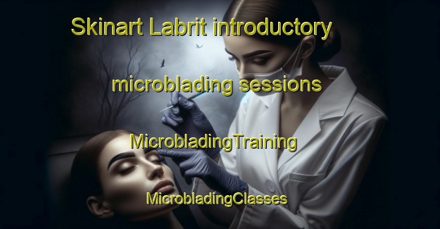Skinart Labrit introductory microblading sessions | MicrobladingTraining | MicrobladingClasses | SkinartTraining-France