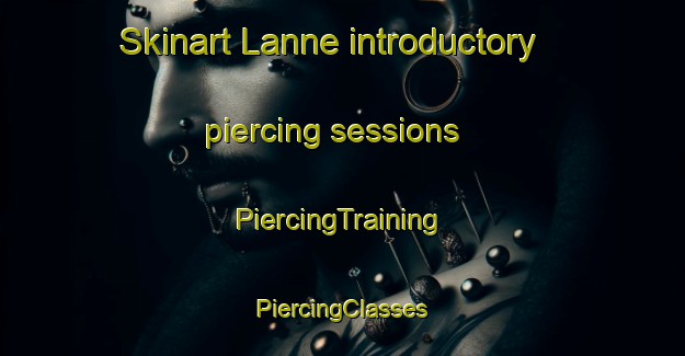 Skinart Lanne introductory piercing sessions | #PiercingTraining #PiercingClasses #SkinartTraining-France