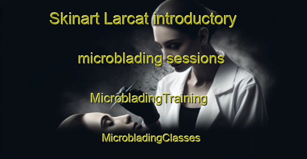 Skinart Larcat introductory microblading sessions | MicrobladingTraining | MicrobladingClasses | SkinartTraining-France