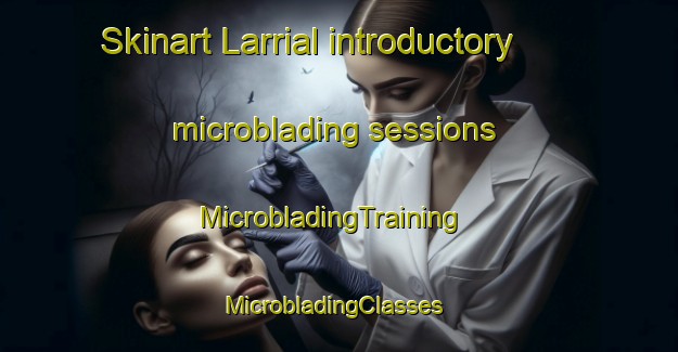 Skinart Larrial introductory microblading sessions | MicrobladingTraining | MicrobladingClasses | SkinartTraining-France