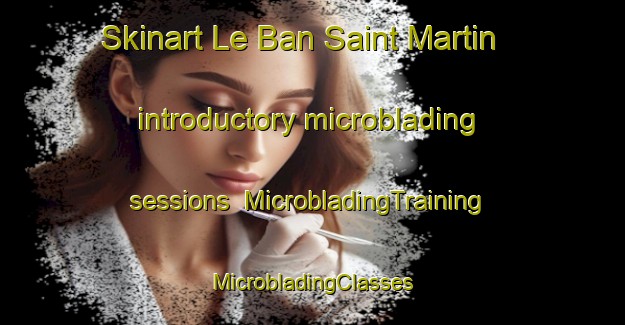 Skinart Le Ban Saint Martin introductory microblading sessions | #MicrobladingTraining #MicrobladingClasses #SkinartTraining-France